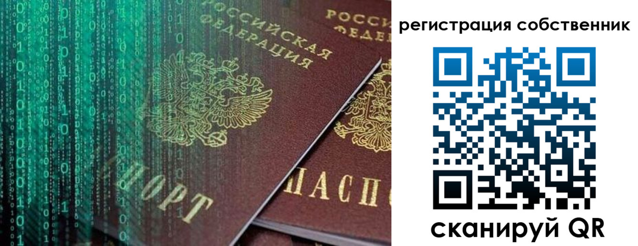 прописка поиск в Черногорске